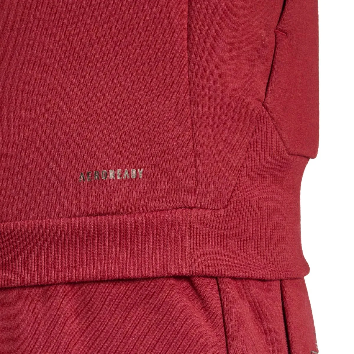 Belgium Casual Travel hooded presentation tracksuit 2024/25 - Adidas